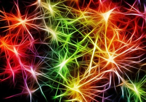 Neurogeneza - CBD tworzy nowe neurony w mózgu